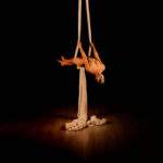 Expresie cinetică 22