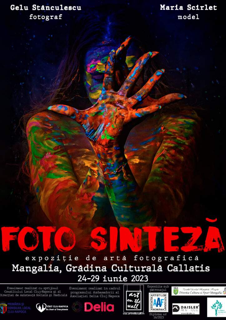 AFISUL foto sinteza mangalia -01