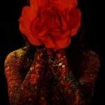 Misterul florii roșii