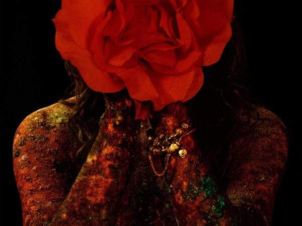 Misterul florii roșii