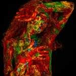 Dispoziție în culori