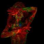 Dispoziție în culori