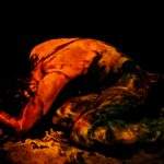 dark fine art photography, human body curled in fetal position on ground, dramatic low-key lighting, black background, expressive body paint textures, intense red and green tones on skin, high contrast chiaroscuro, emotional vulnerability, depression mood, isolation theme, symbolic posture of protection and collapse, cinematic shadows, painterly surface, abstract expressionist atmosphere, psychological tension, minimal environment, conceptual photography, contemporary art style fotografie artistică în tonuri sumbre, corp uman ghemuit în poziție fetală pe sol, iluminare dramatică în stil low-key, fundal negru, texturi expresive ale vopselei corporale, nuanțe intense de roșu și verde pe piele, clar-obscur cu contrast ridicat, vulnerabilitate emoțională, atmosferă depresivă, tema izolării, postură simbolică de protecție și prăbușire, umbre cinematografice, suprafață picturală, atmosferă expresionistă abstractă, tensiune psihologică, decor minimalist, fotografie conceptuală, stil de artă contemporană