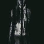 Îmbrăcată în umbre