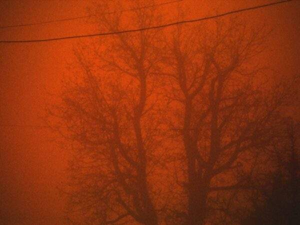 Stare statică (XV)